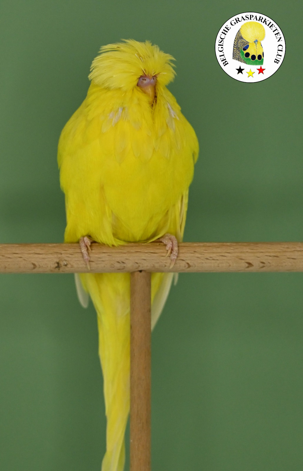 BNRK