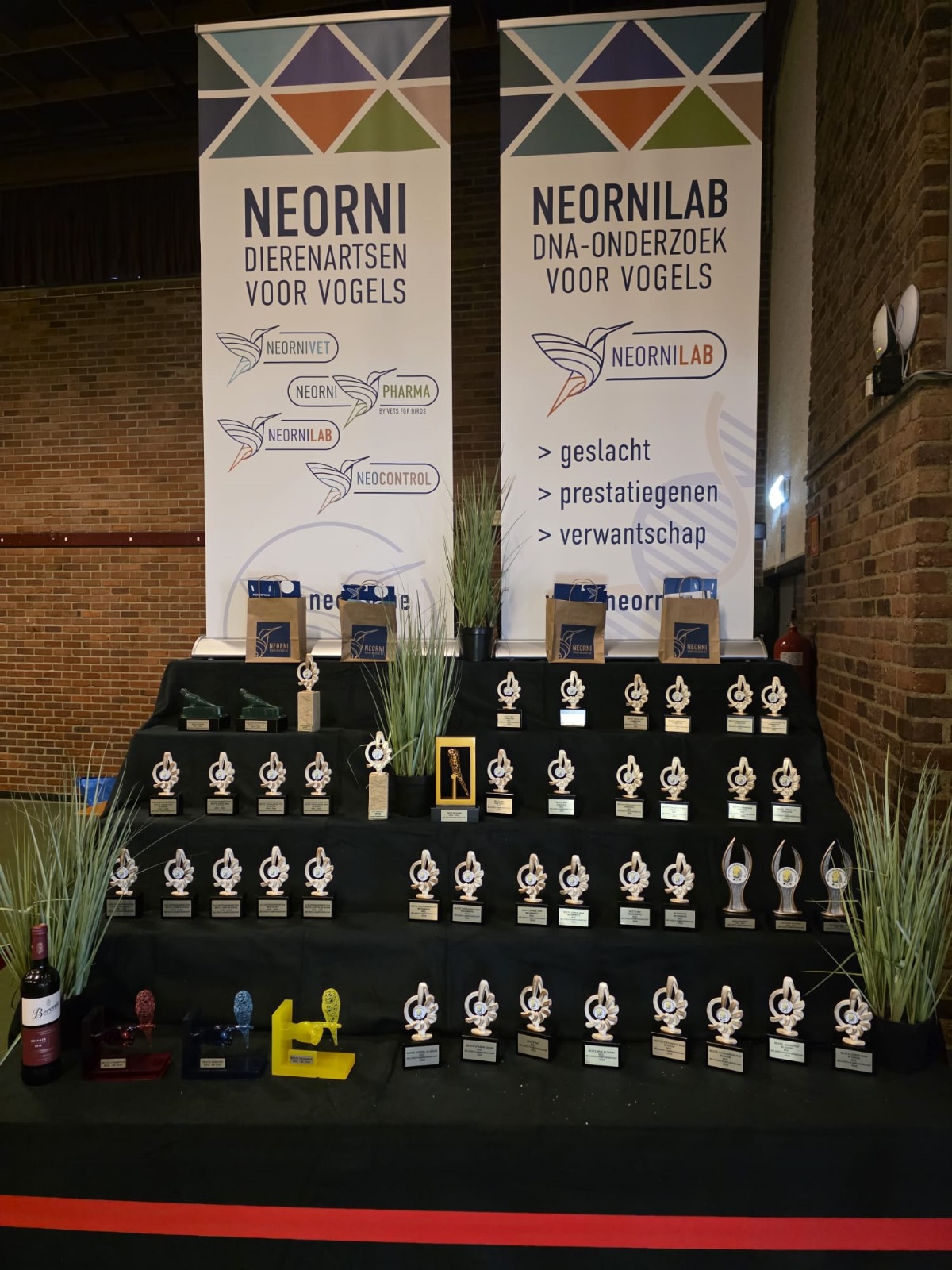 BGC Show 2025 Prijzentafel